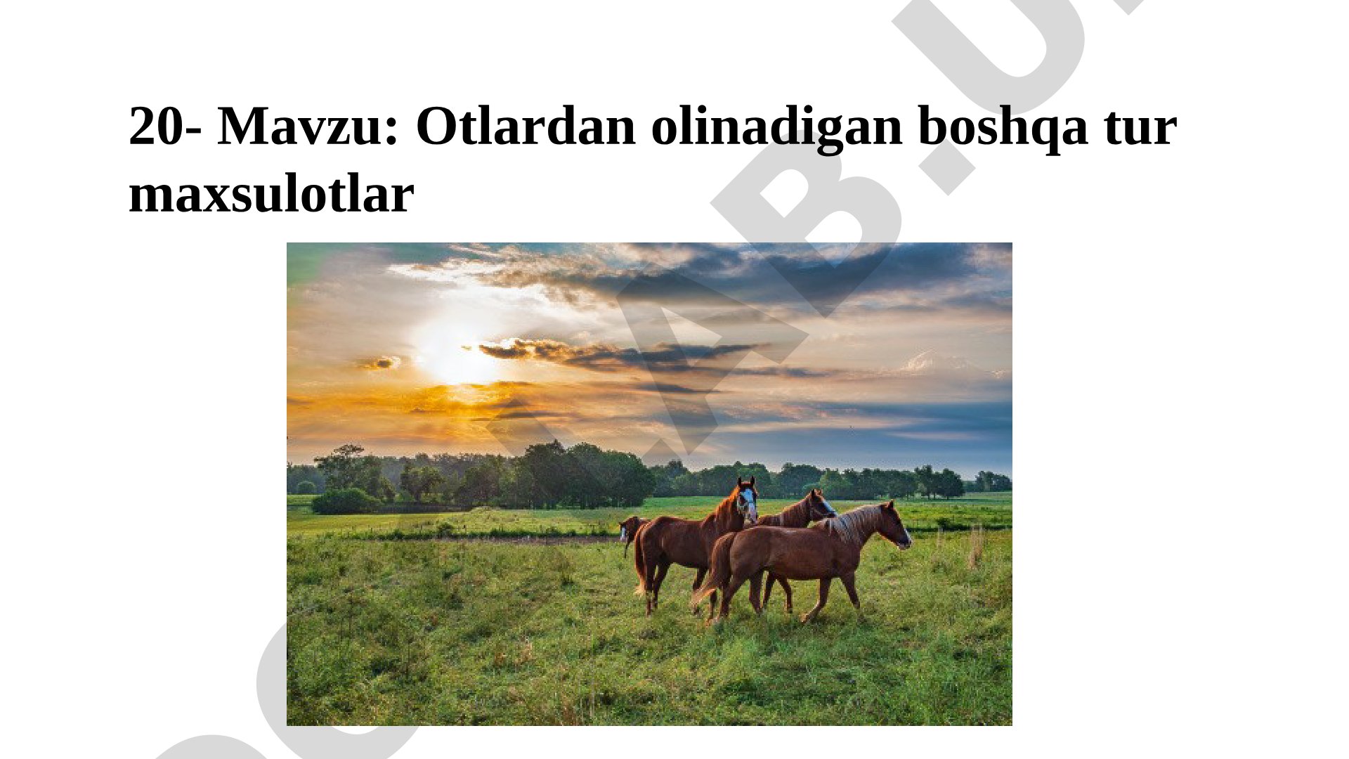 Otlardan olinadigan boshqa tur maxsulotlar