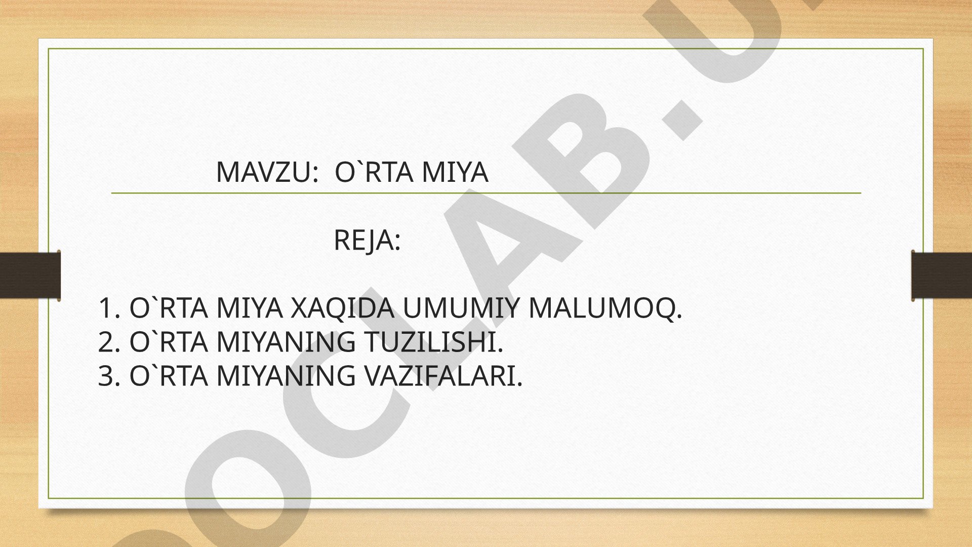 O'rta miya