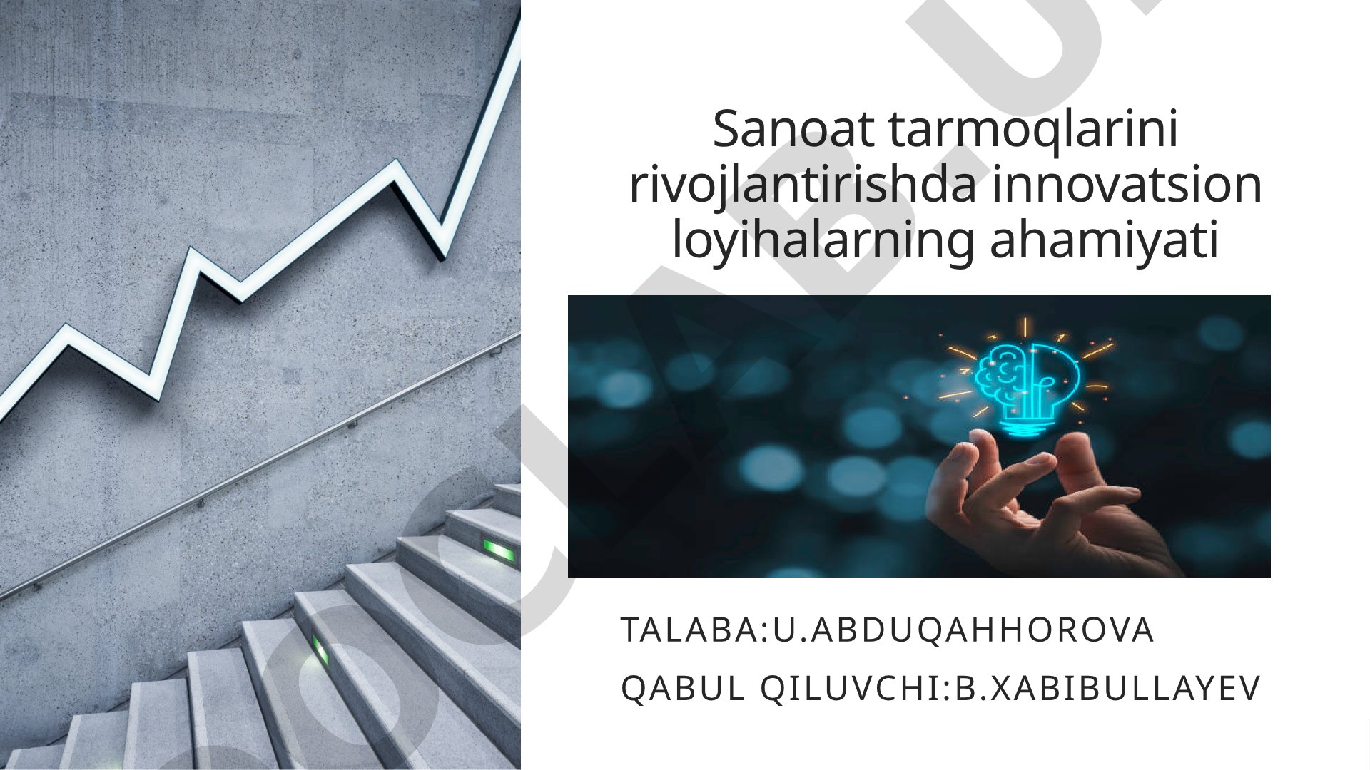 Sanoat tarmoqlarini rivojlantirishda innovatsion loyihalarning ahamiyati