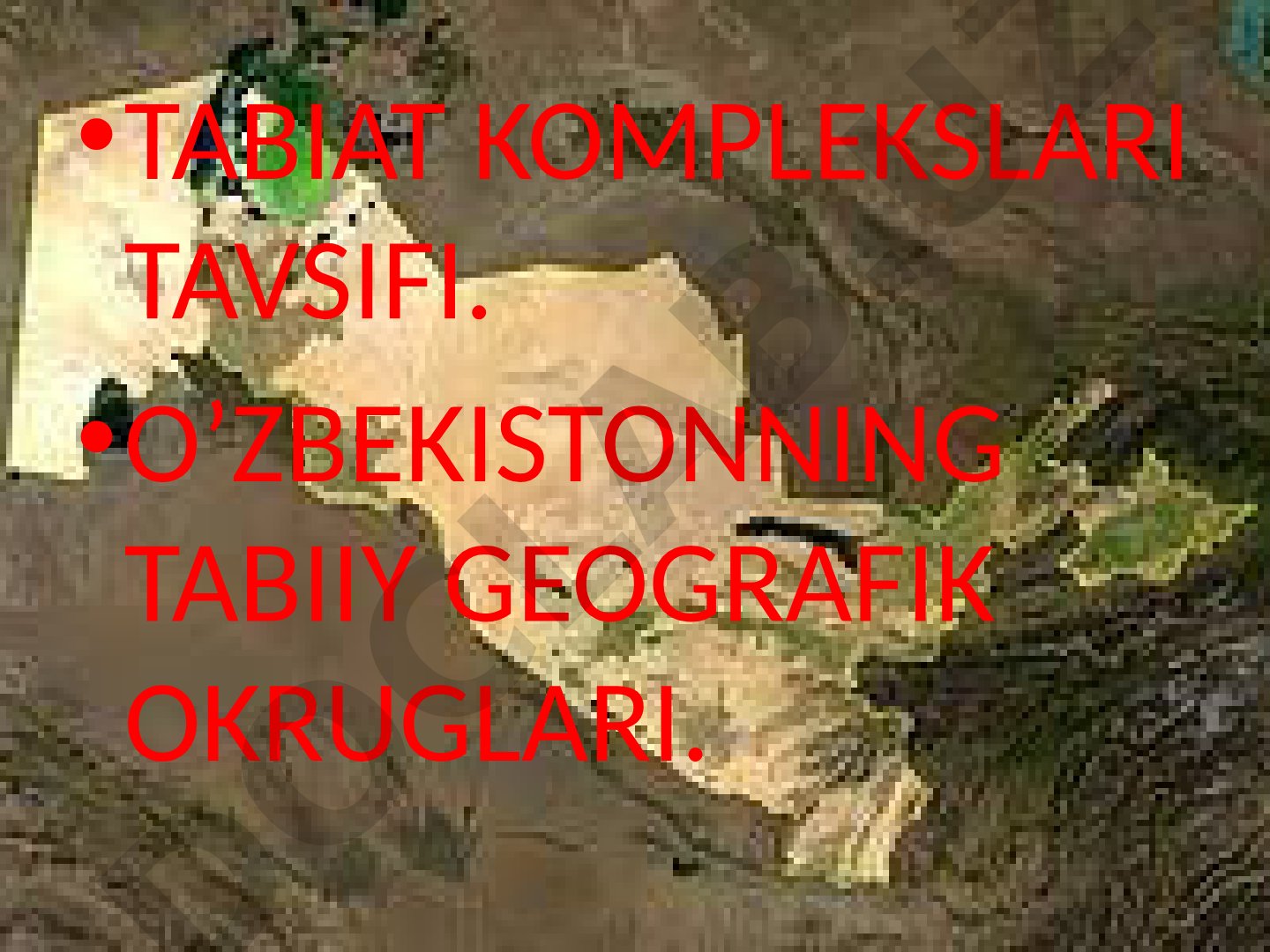 Tabiiy geografik rayonlashtirish