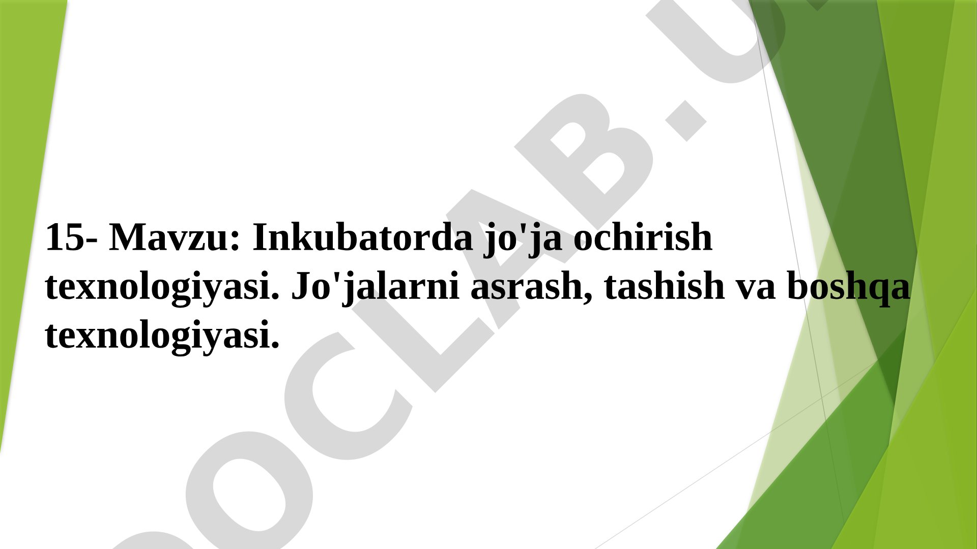 Inkubatorda jo'ja ochirish teхnologiyasi. Jo'jalarni asrash, tashish va boshqa teхnologiyasi