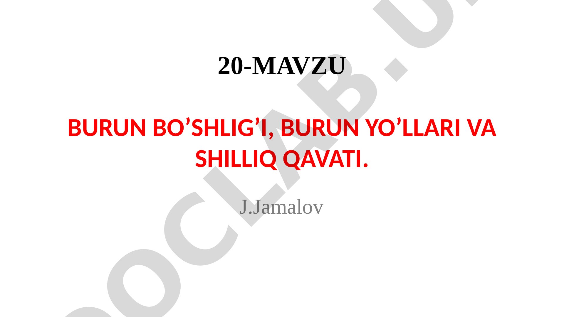 Burun bo'shlig'i, burun yo'llari va shilliq qavati