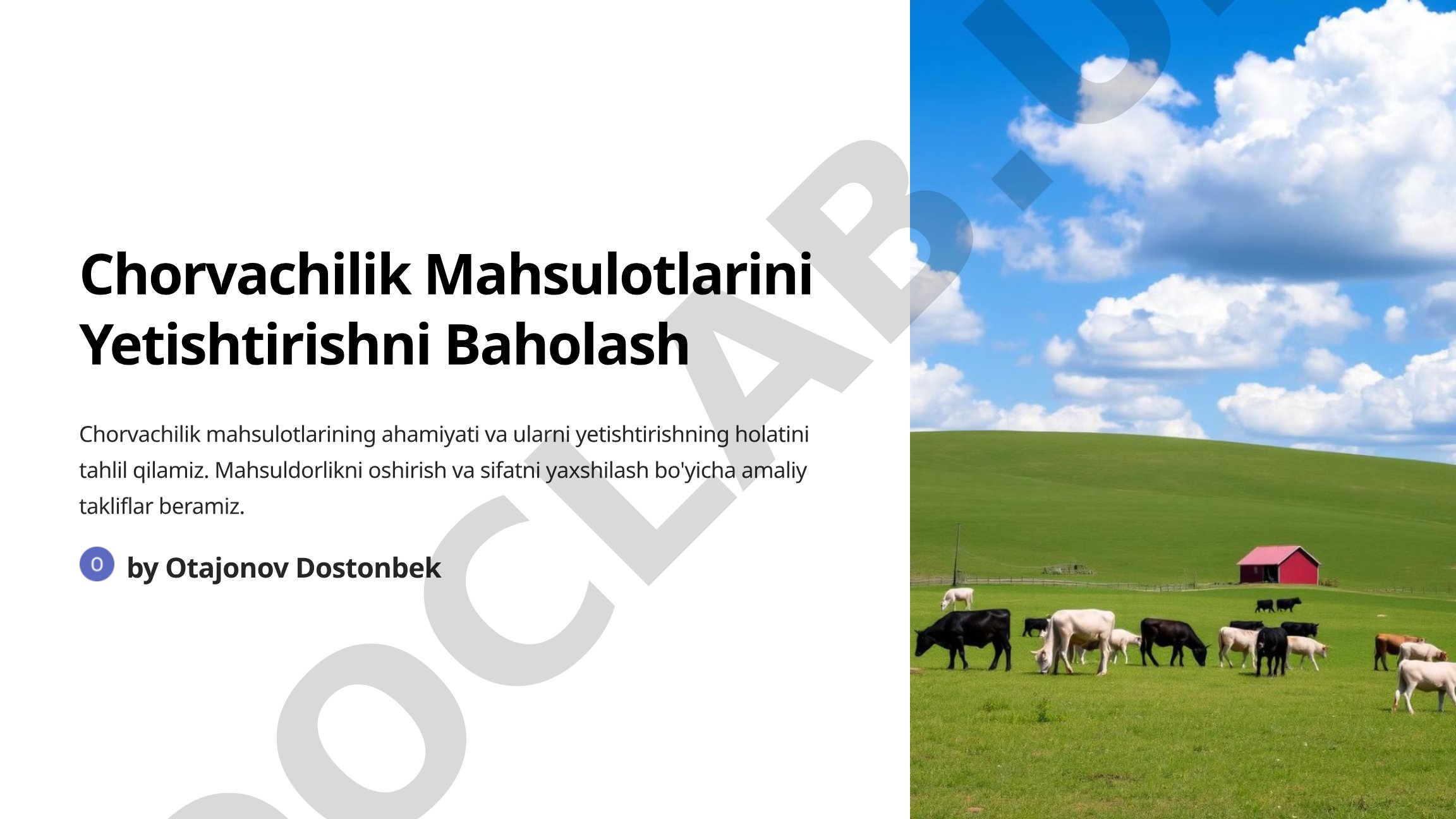 Chorvachilik Mahsulotlarini Yetishtirishni Baholash