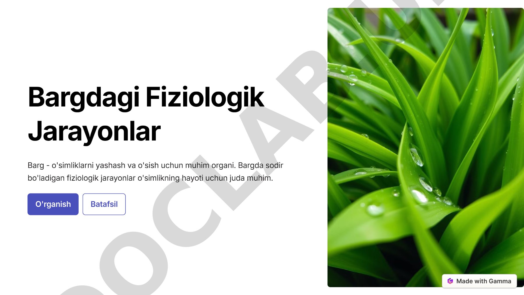 Barg tuzilishi, fotosintez, nafas olish va transpiratsiya jarayonlari haqida
