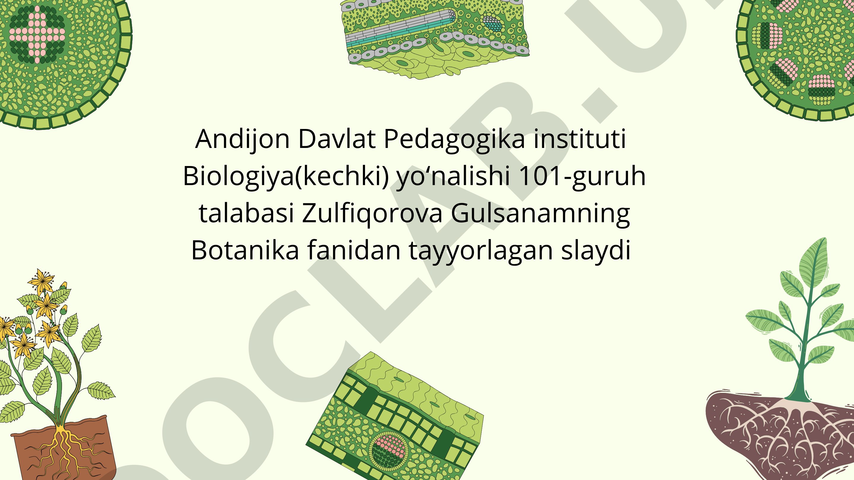 Toʻqimlarning kelib chiqishi, xillari va vazifalari