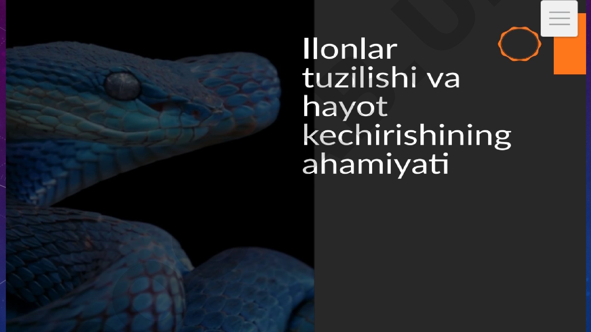 Ilonlar © tuzilishi va hayot kechirishining ahamiyati