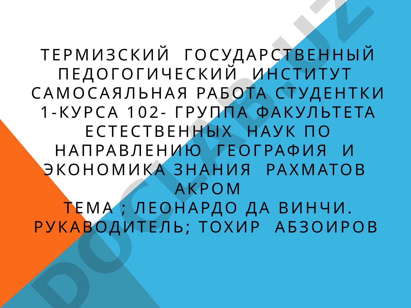 Леонардо да Винчи