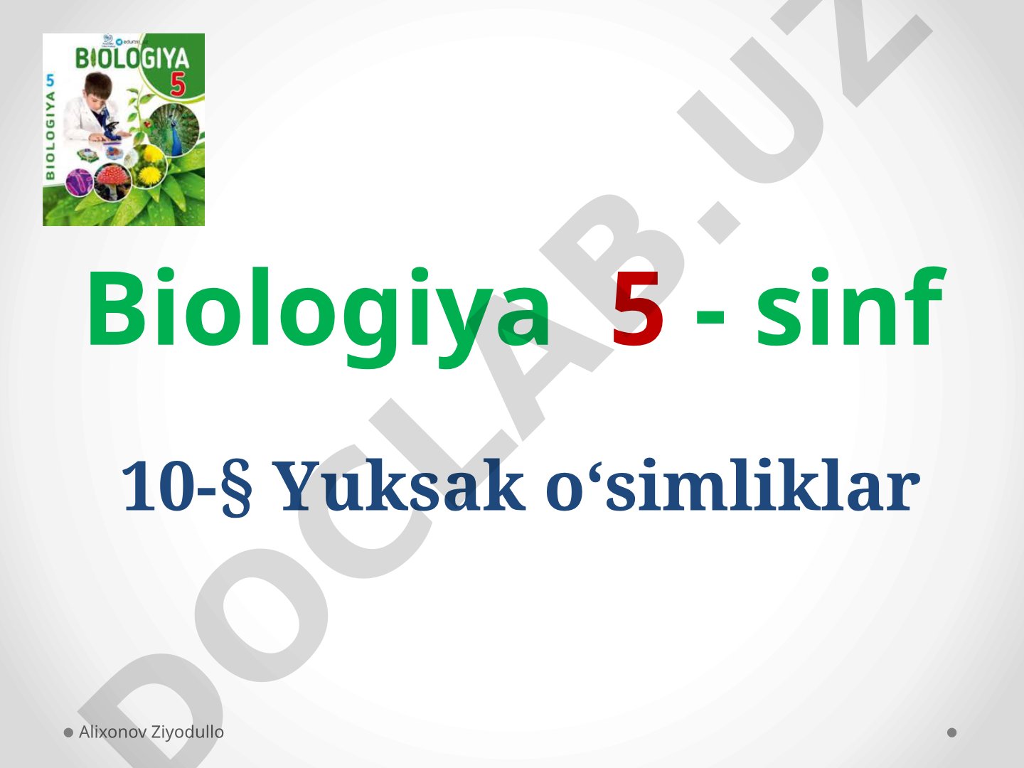 Yuksak o'simliklar bo'limlari va vakillari