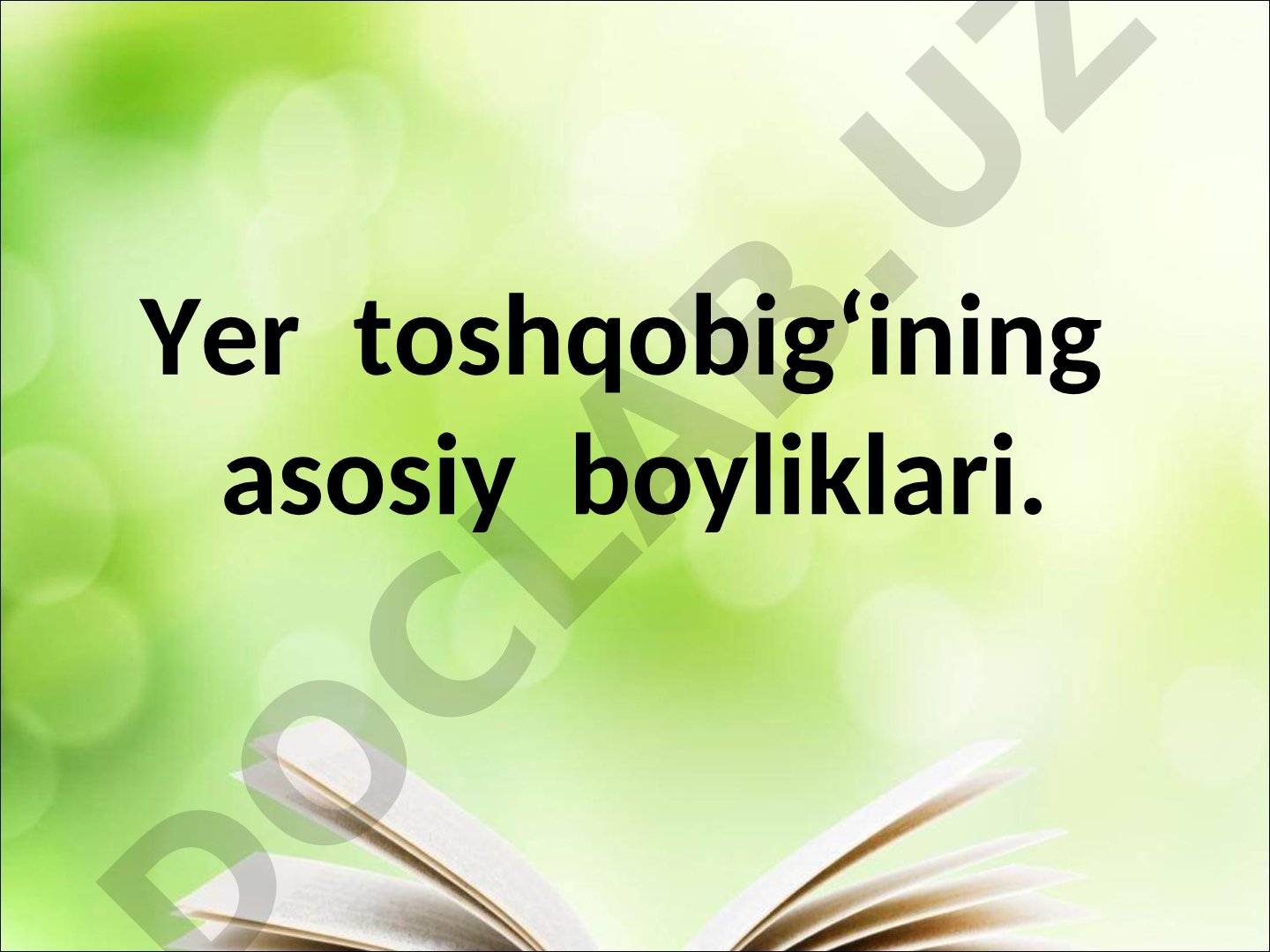 Yer toshqobig‘ining asosiy boyliklari