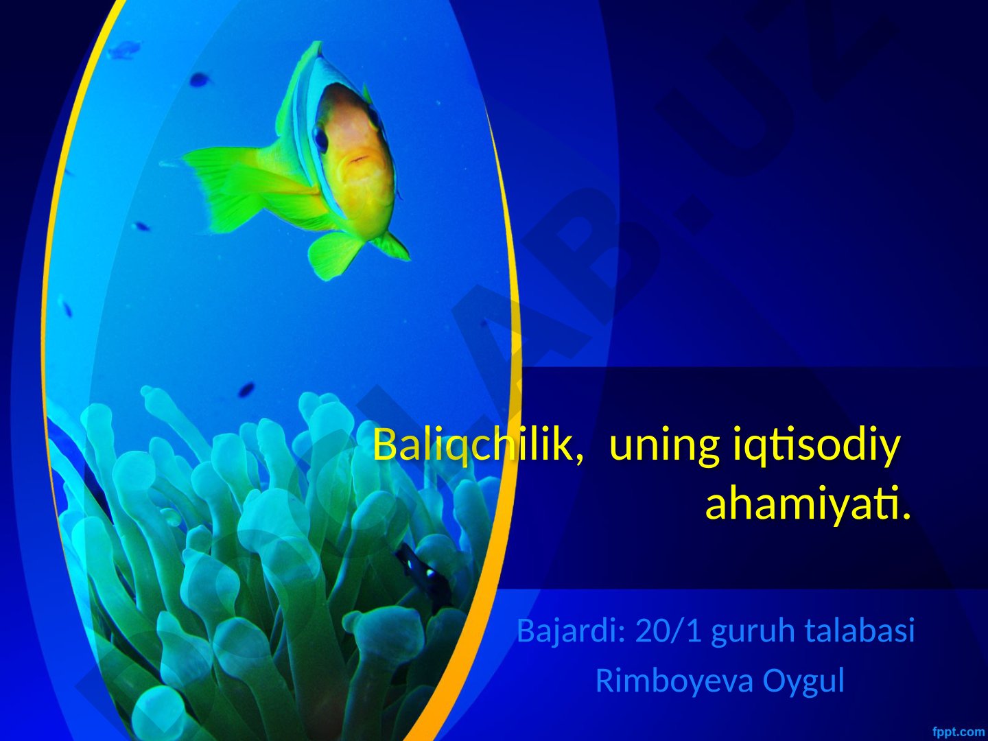 Baliqchilik, uning iqtisodiy ahamiyati