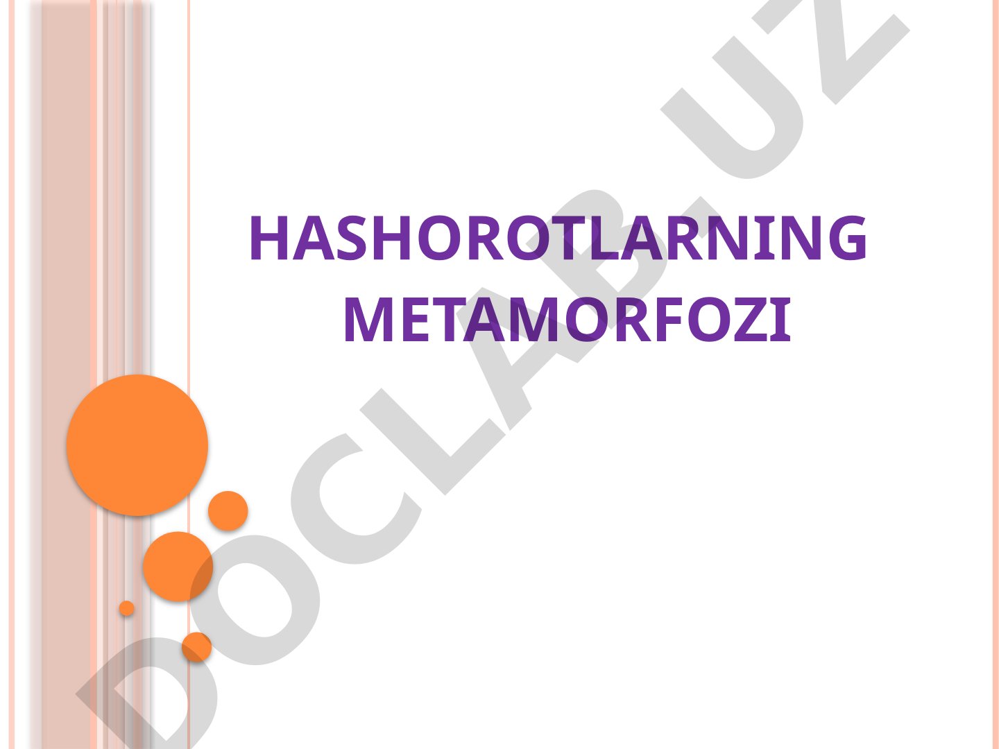 Hasharotlarning to‘liq o‘zgarish bilan rivojlanishi, bosqichlari va turlari haqida