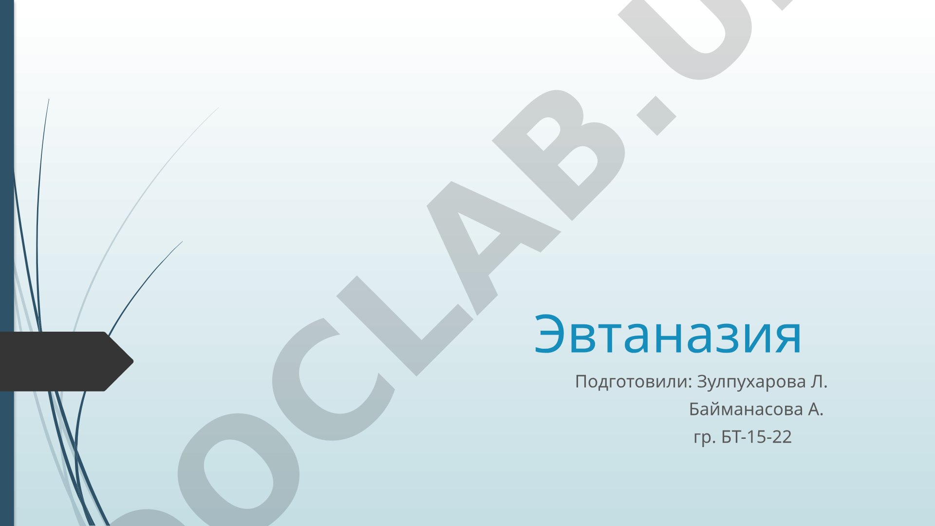 Эвтаназия