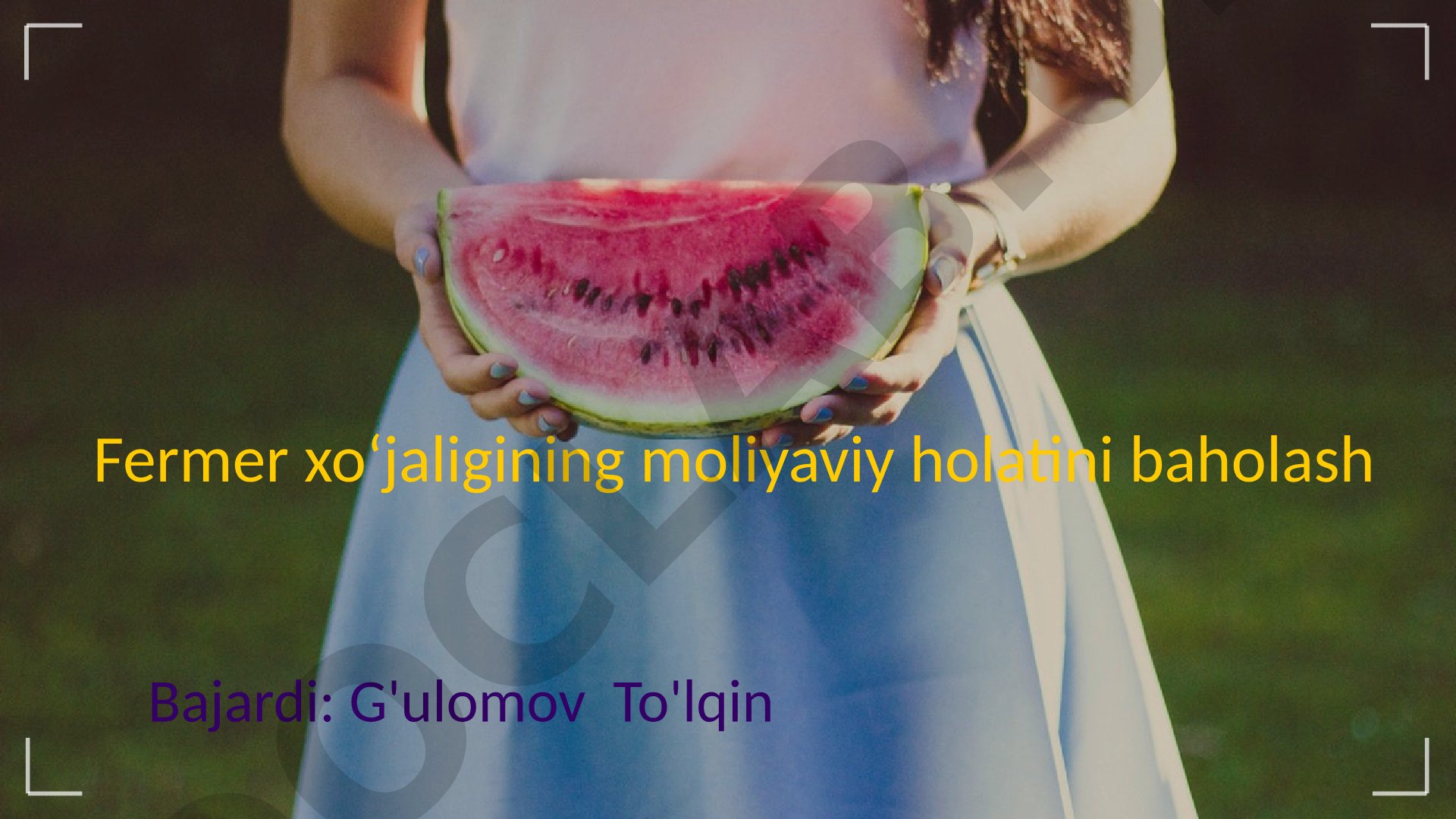 Fermer xo‘jaligining moliyaviy holatini baholash