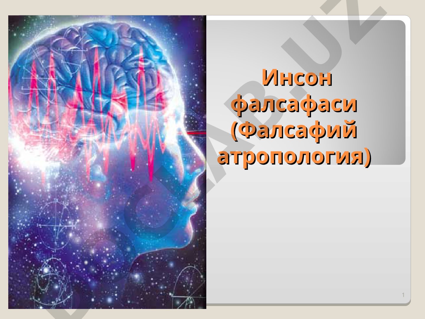 Инсон фалсафаси (Фалсафий атропология)