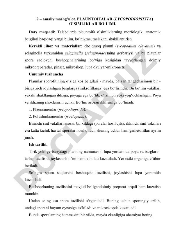 Plauntoifalar (Lycopodiophyta) o'simliklar bo'limi