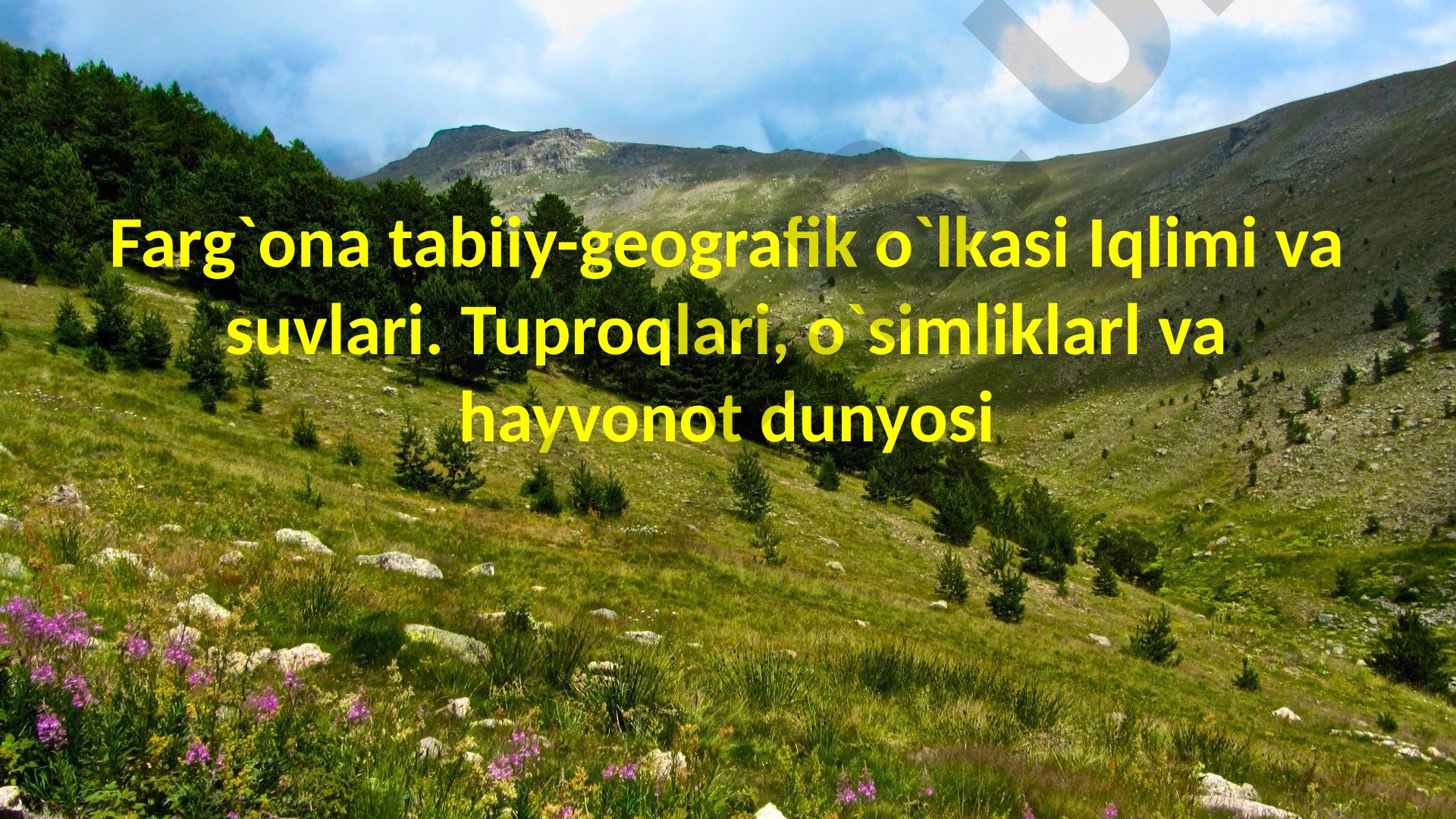 Farg'ona tabiiy-geografik o'lkasi Iqlimi va suvlari. Tuproqlari, o'simliklarl va hayvonot dunyosi