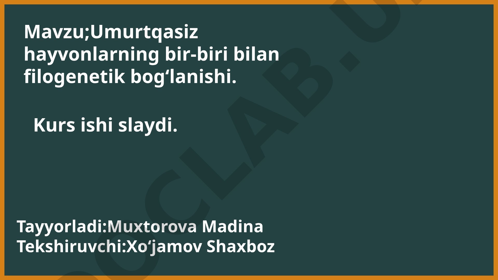 Umurtqasiz hayvonlarning bir-biri bilan filogenetik bogʻlanishi