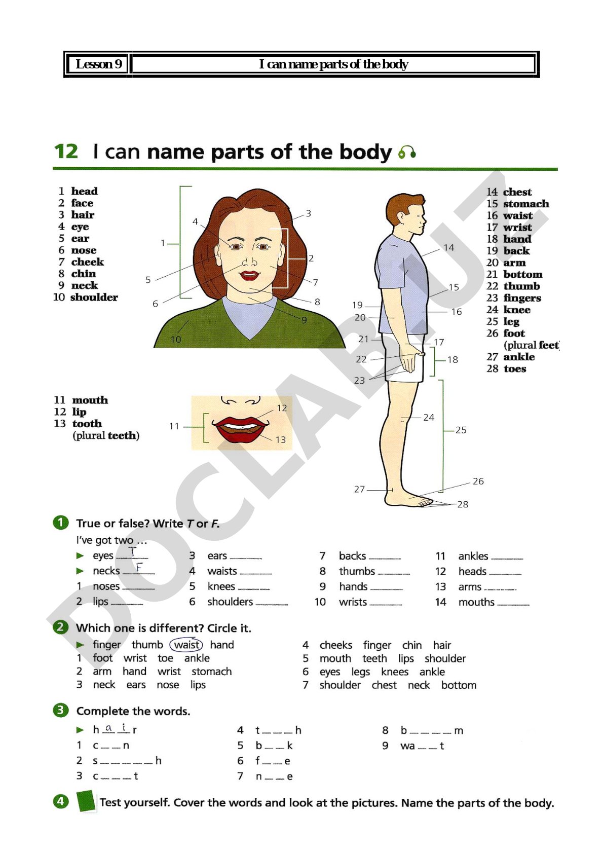 Parts of the body