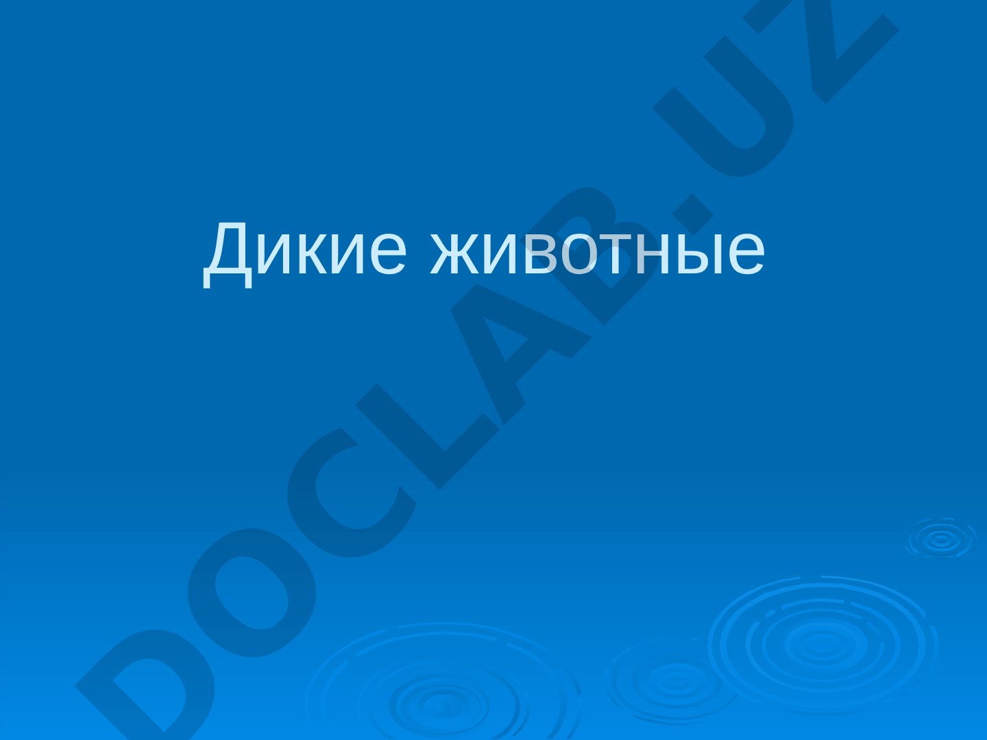 Дикие животные