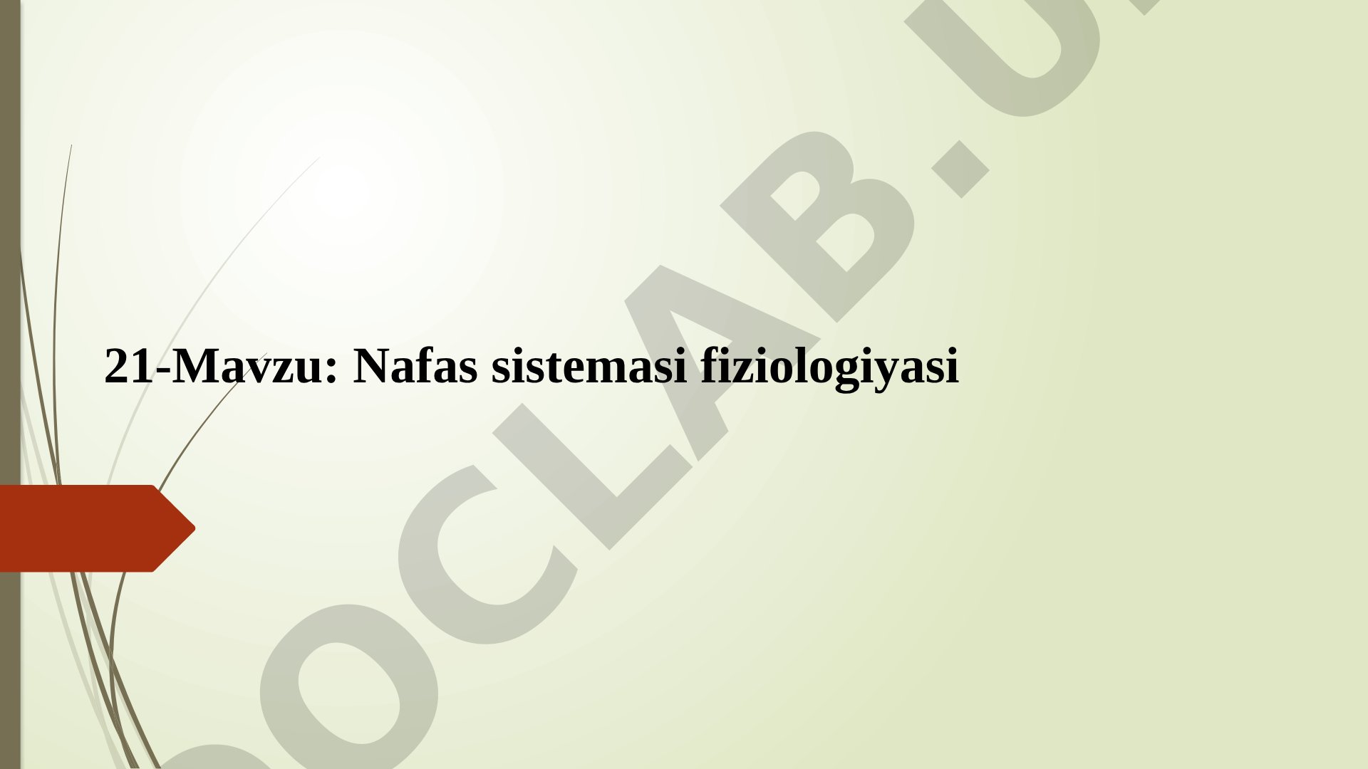 Nafas sistemasi fiziologiyasi