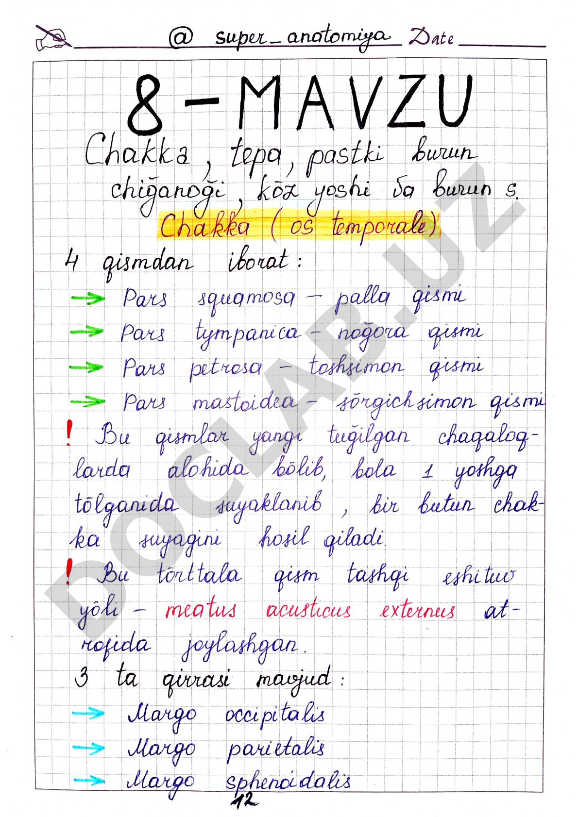 Matnsiz PDF