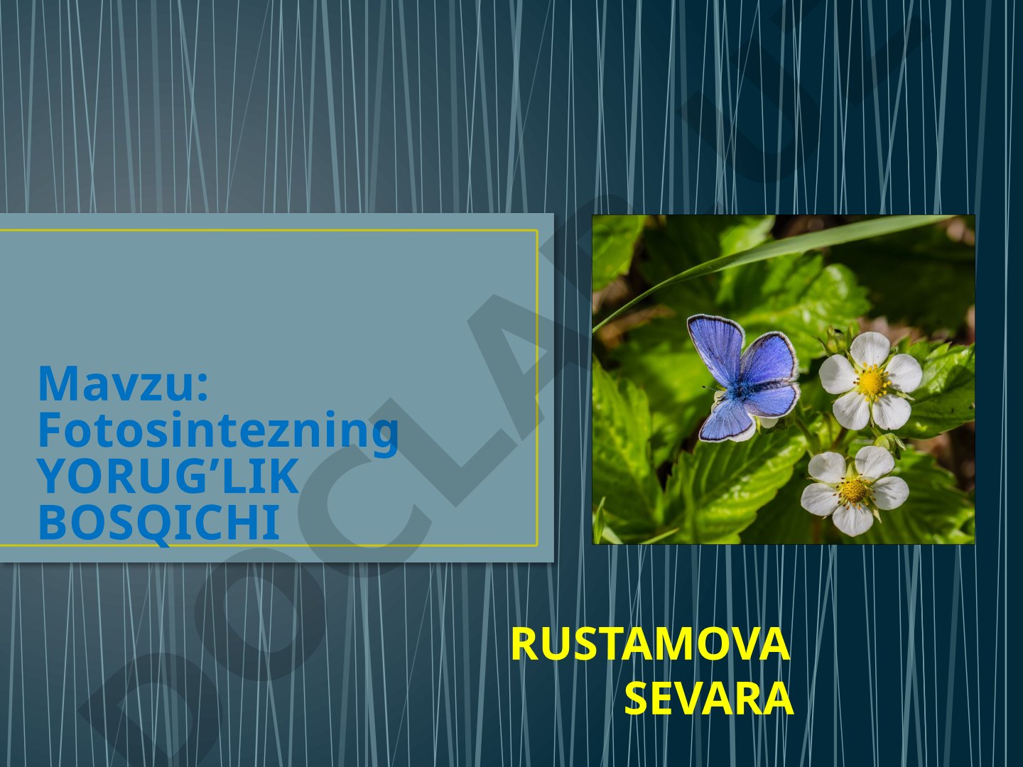 Fotosintezning yorug'lik bosqichi, yorug'lik reaksiyalari, ATF sintezi haqida taqdimot