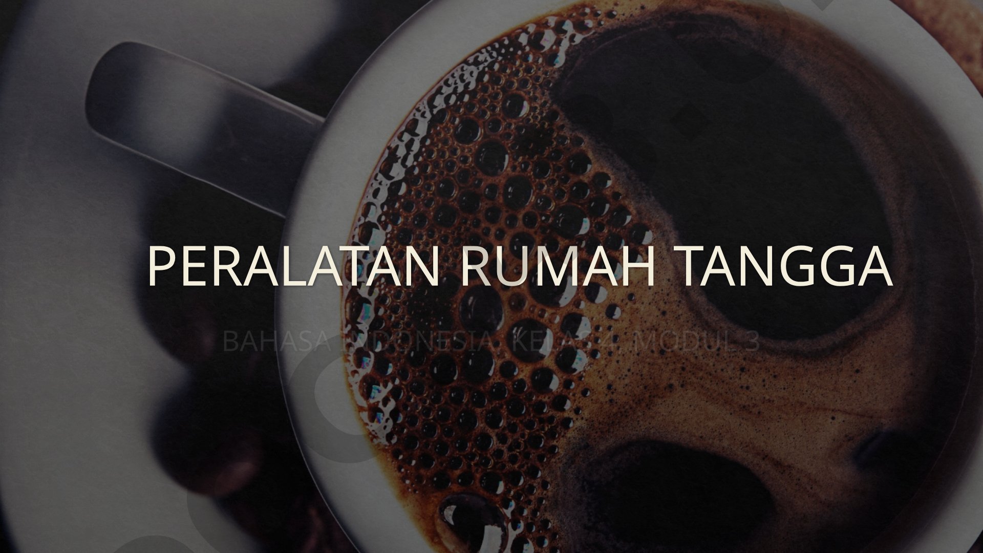 Menggunakan Alat Pengepel Lantai