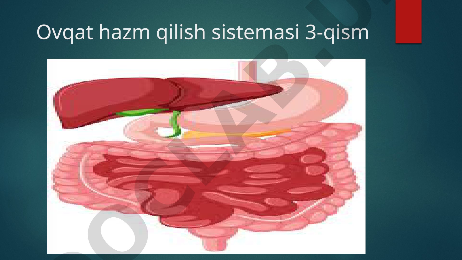 Ovqat hazm qilish sistemasi 3-qism