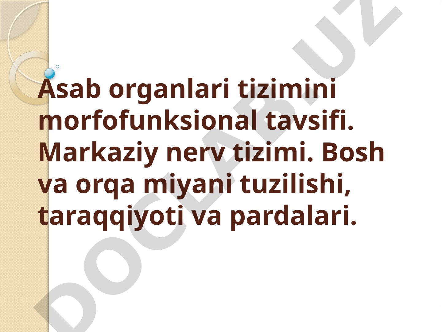 Asab organlari tizimini morfofunksional tavsifi. Markaziy nerv tizimi.