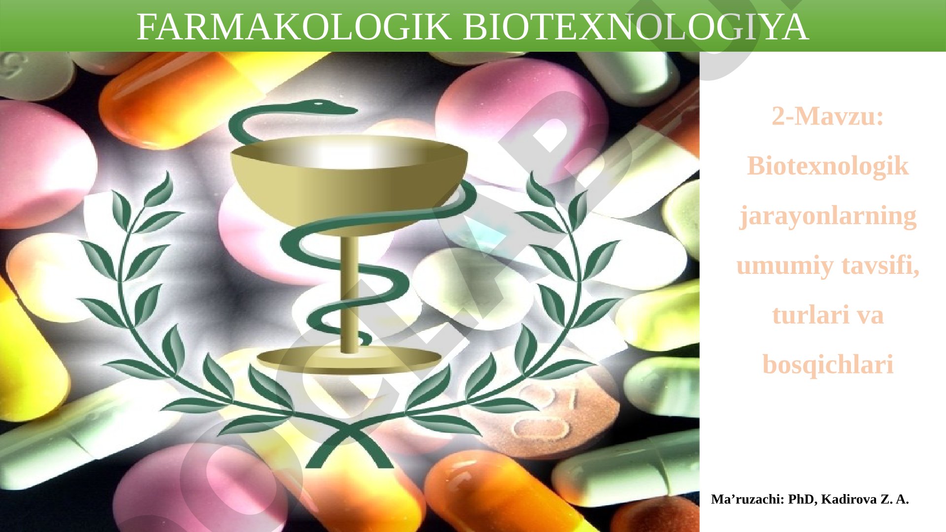 Biotexnologik jarayonlarning umumiy tavsifi, turlari va bosqichlari