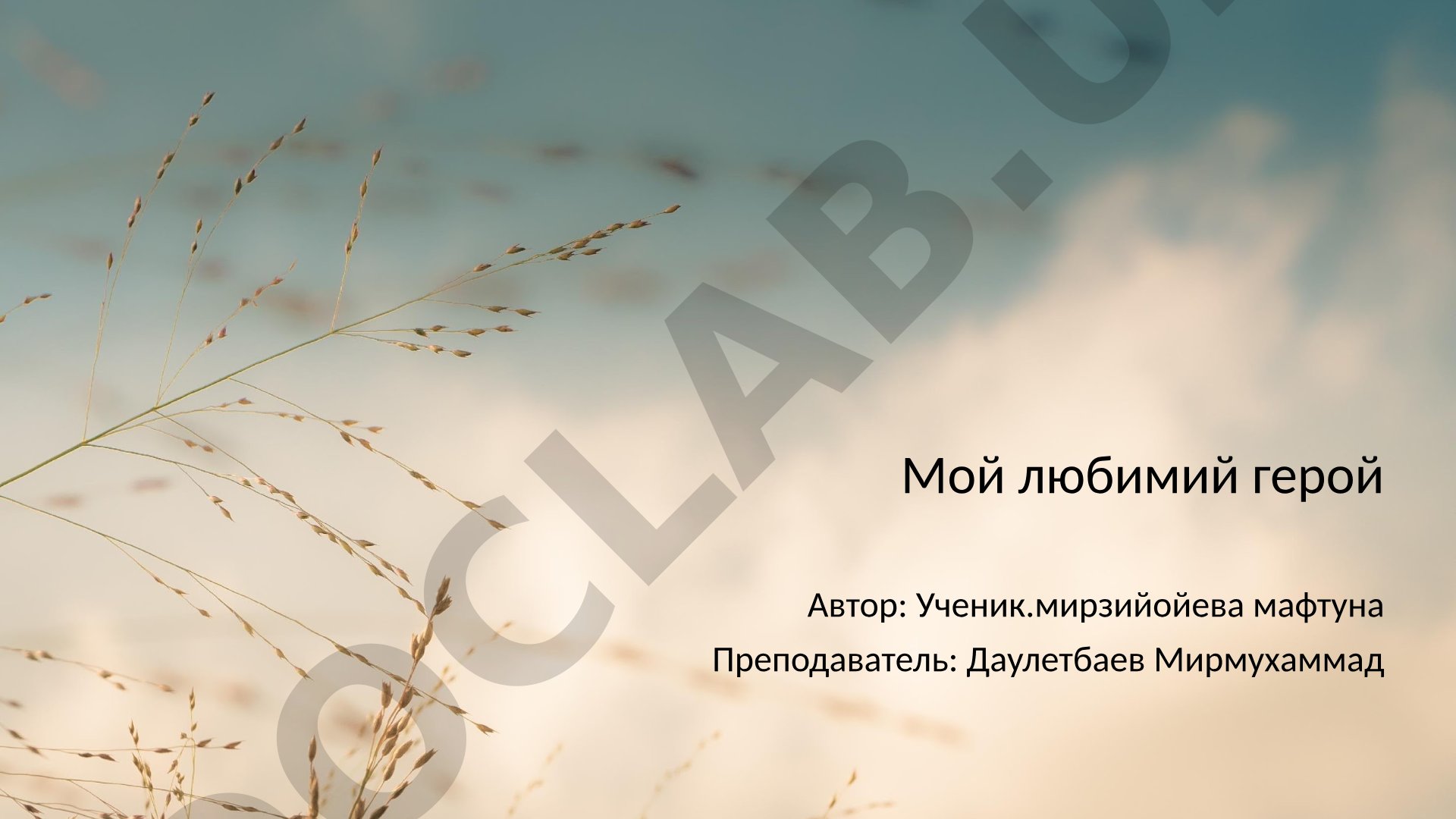 О любимом герое, его качествах и влиянии на общество