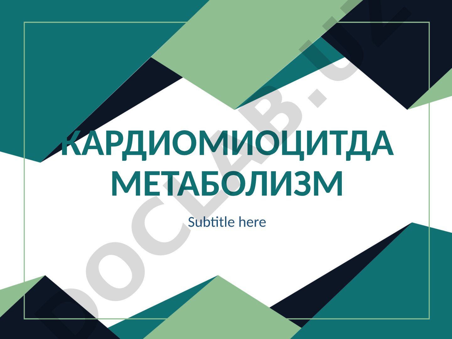 Кардиомиоцитда метаболизм