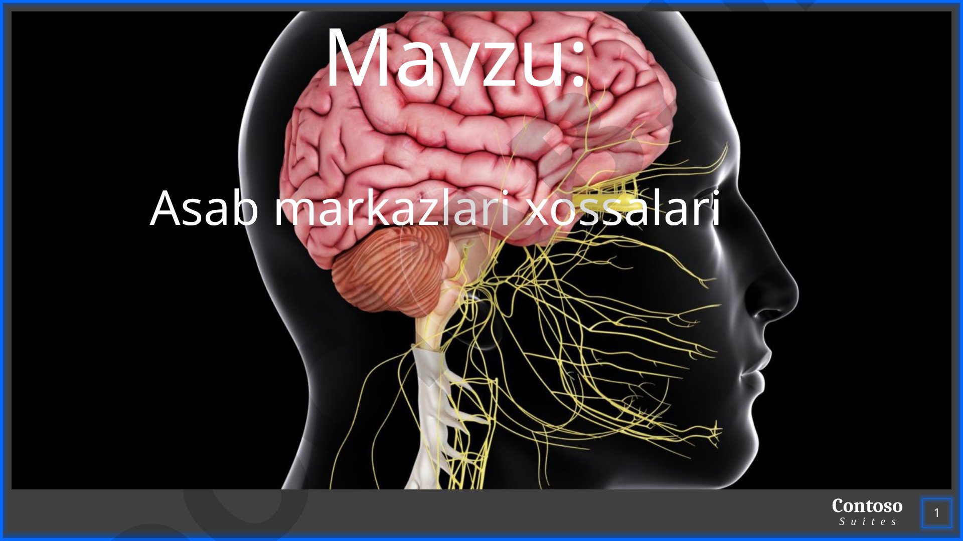 Asab markazlari xossalari