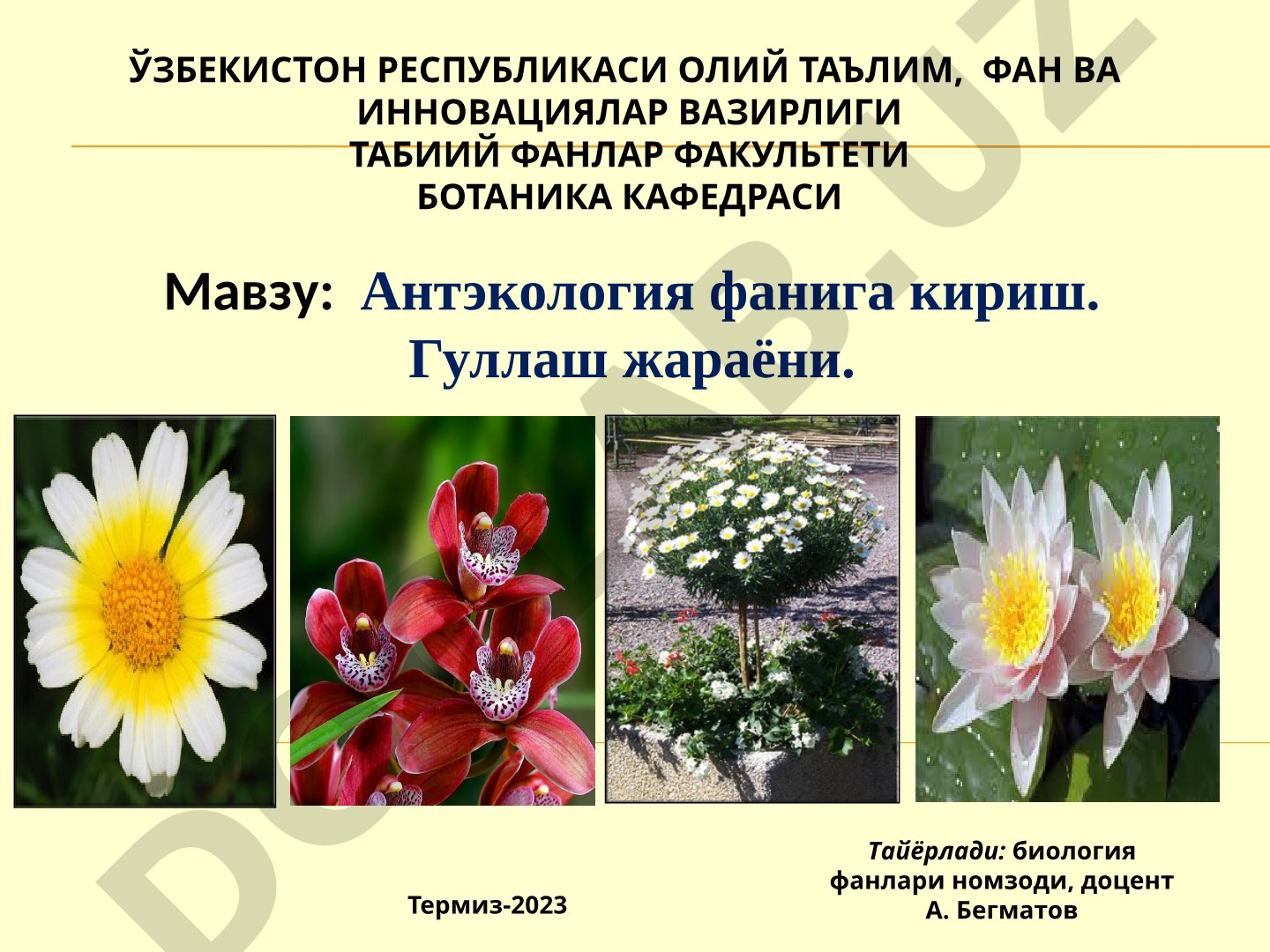Антэкология фанига кириш. Гуллаш жараёни