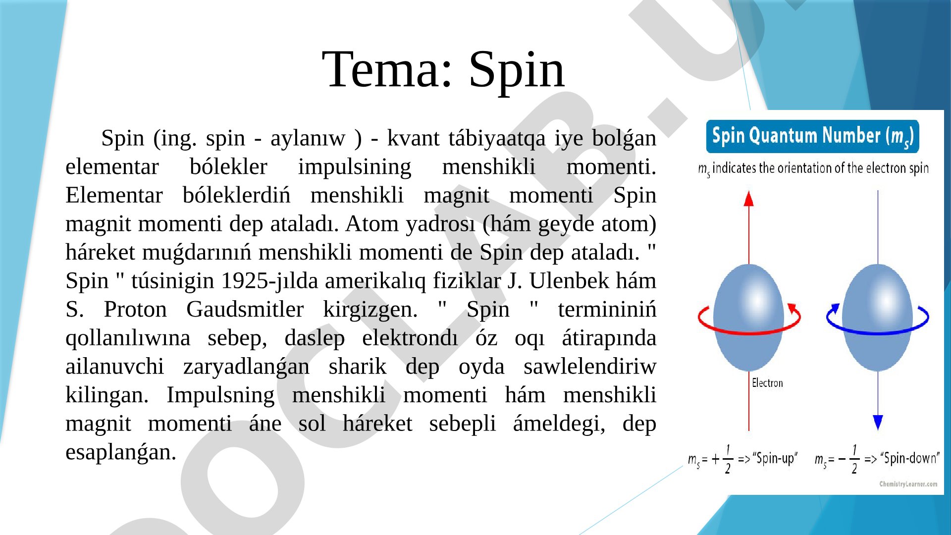 Spin (ing. spin - aylanıw) - kvant tábiyaatqa iye bolǵan elementar bólekler impulsining menshikli momenti