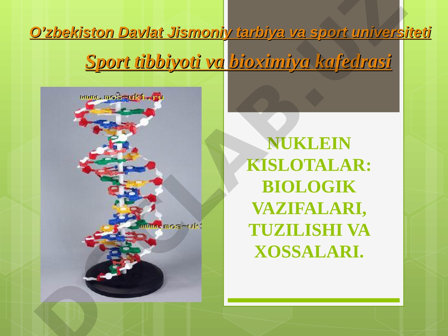 NUKLEIN KISLOTALAR: BIOLOGIK VAZIFALARI, TUZILISHI VA XOSSALARI