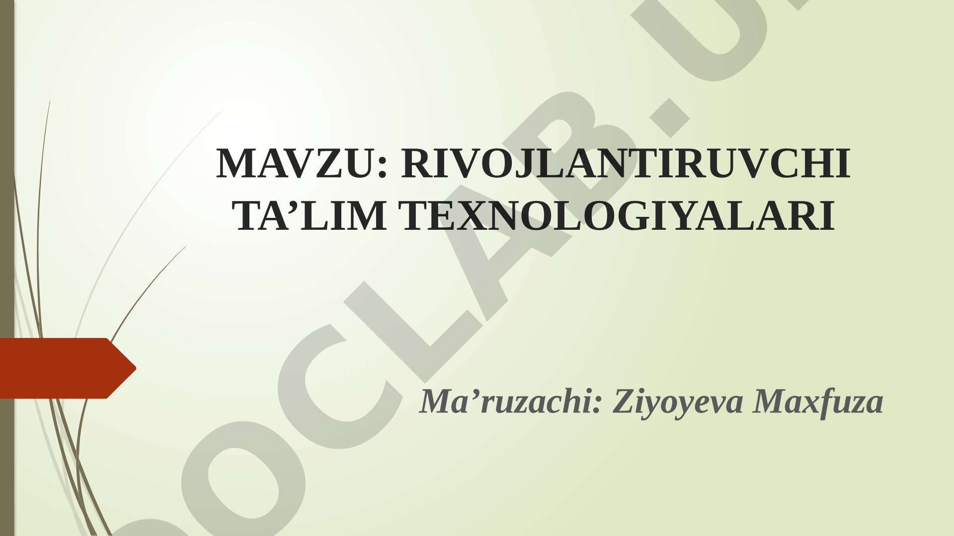 Rivojlantiruvchi ta'limning psixologik tamoyillari, Zankov va Elkonin-Davidov