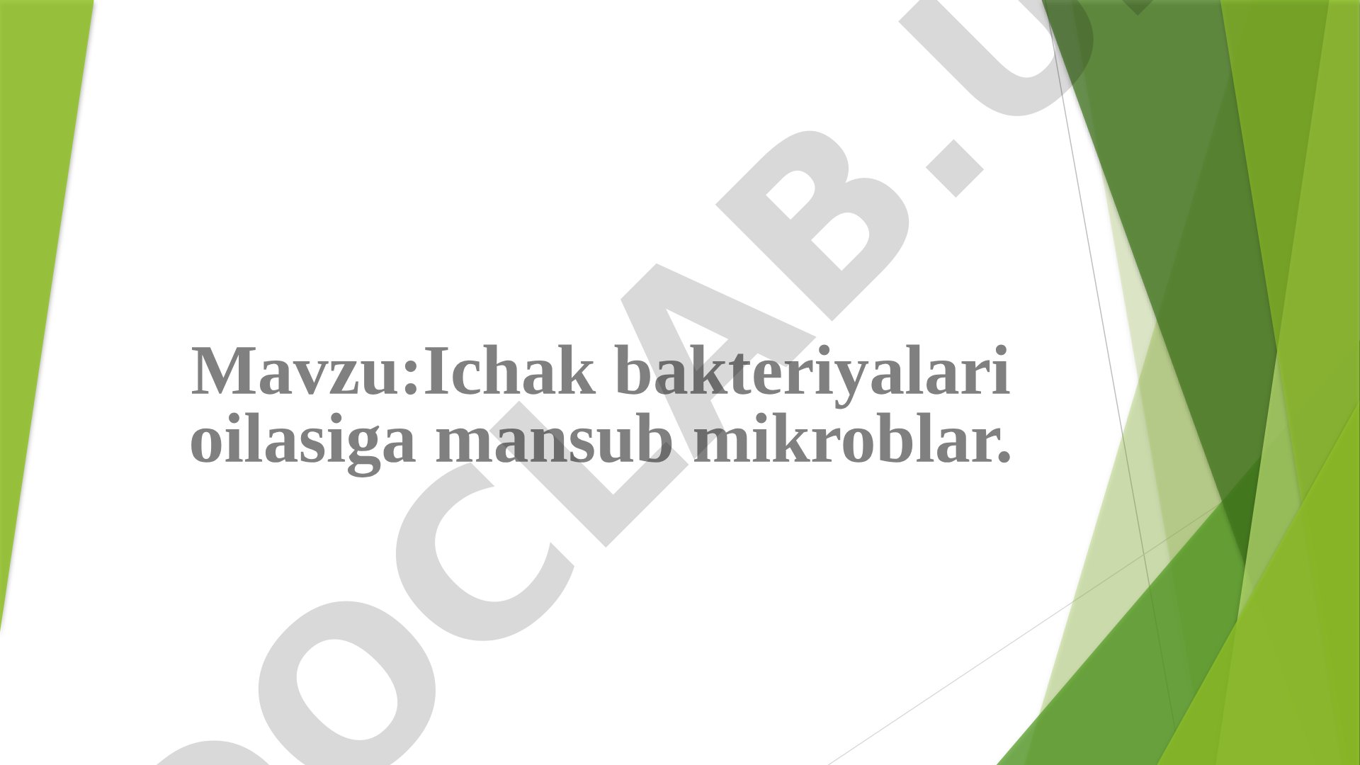 Ichak bakteriyalari oilasiga mansub mikroblar