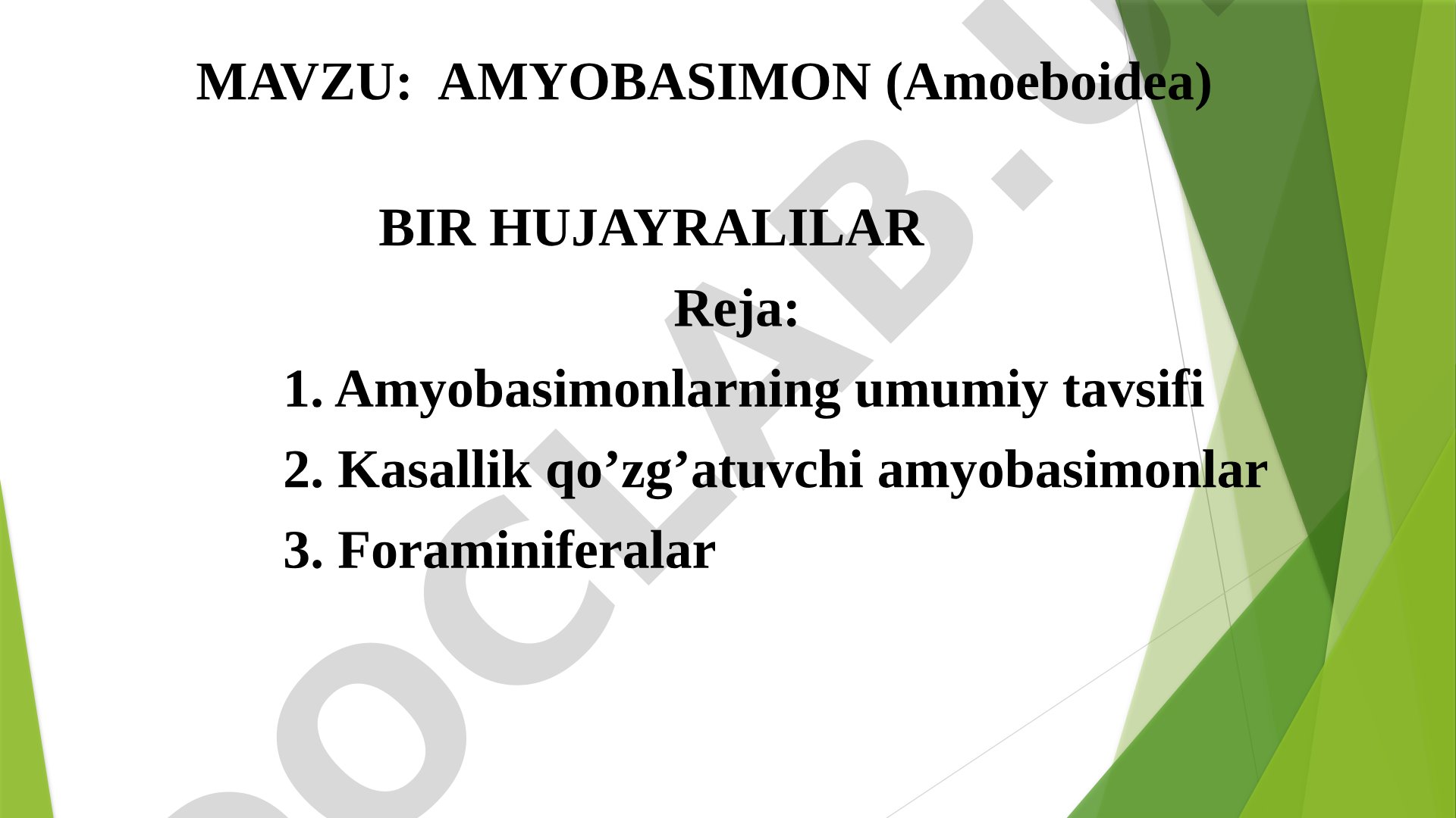 Amyobasimon (Amoeboidea) bir hujayralilar