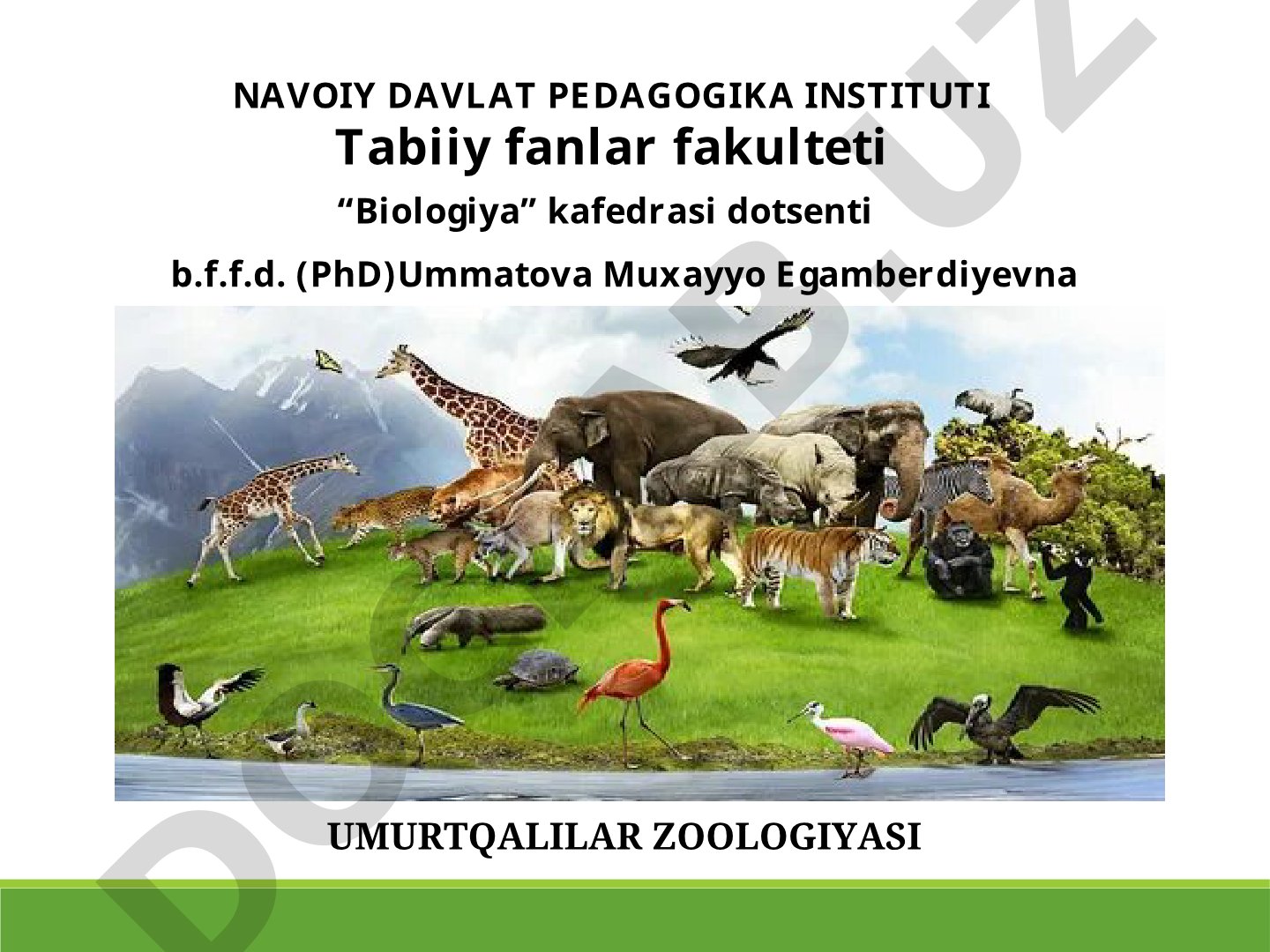 Qushlar sinfining sistematikasi
