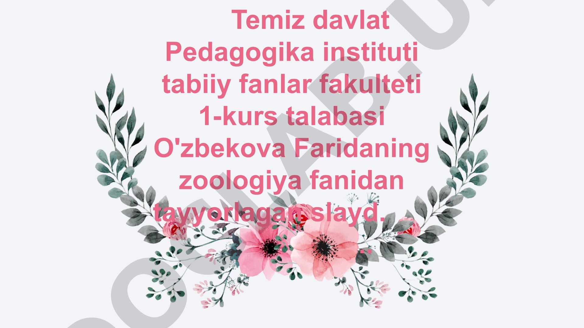 Halqali chuvalchanglar tipining umumiy tavsifi va Sistamatikasi