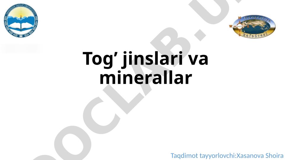 Tog' jinslari va minerallar