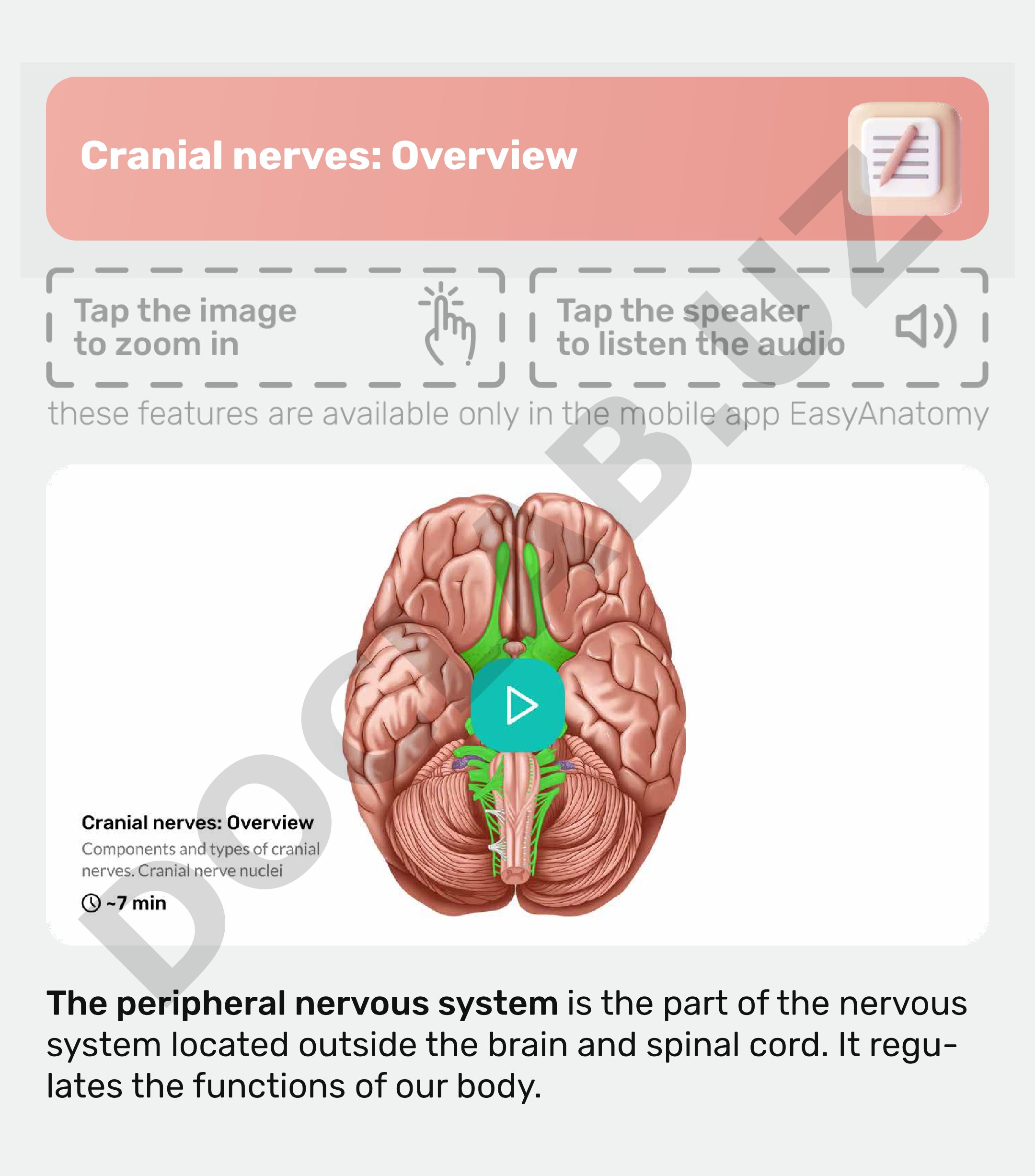 Cranial nerves: Overview