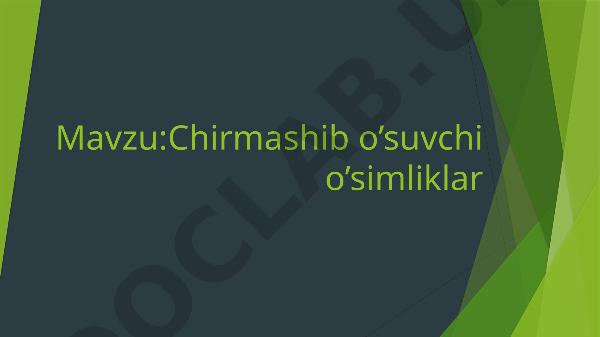 Chirmashib o'suvchi o'simliklar, ularning oilalari, o'sish xususiyatlari va tarqalishi