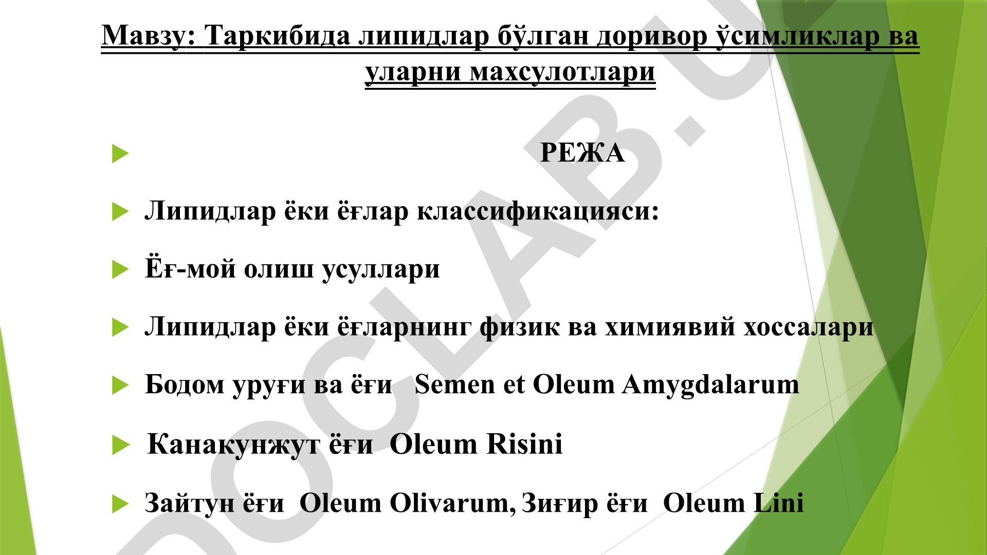 Таркибида липидлар бўлган доривор ўсимликлар ва уларни махсулотлари