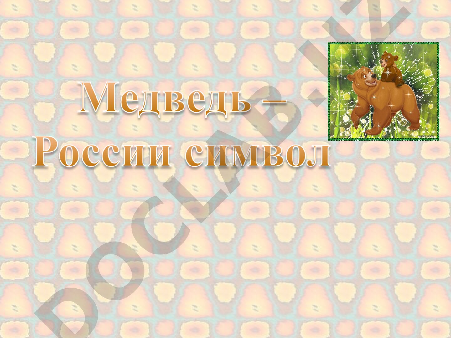 Медведи: виды и символика