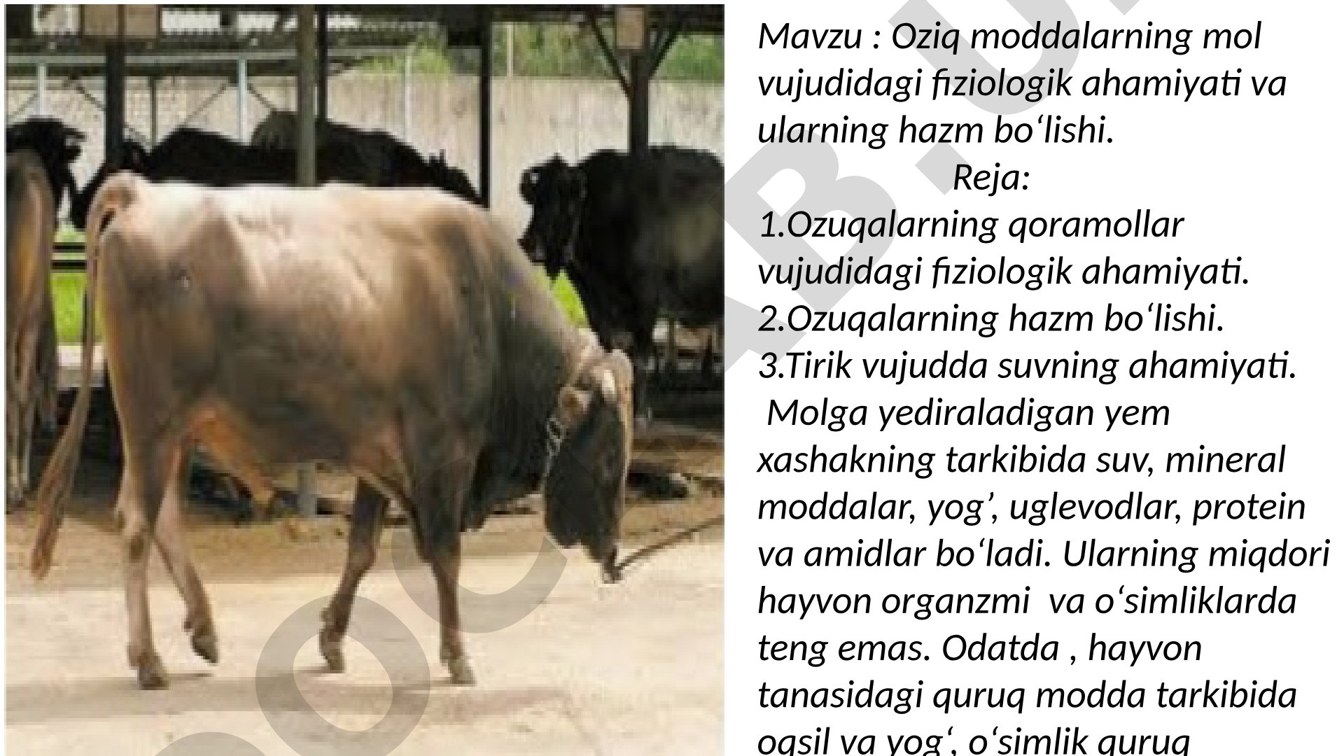 Oziq moddalarning mol vujudidagi fiziologik ahamiyati va ularning hazm bo‘lishi