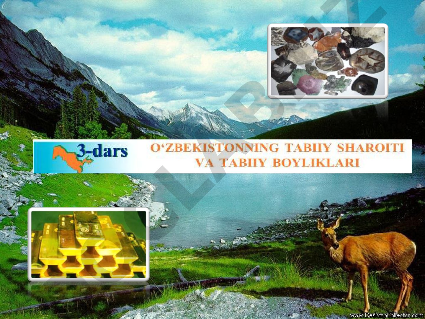 O‘zbekiston yerusti tuzilishi betakrordir