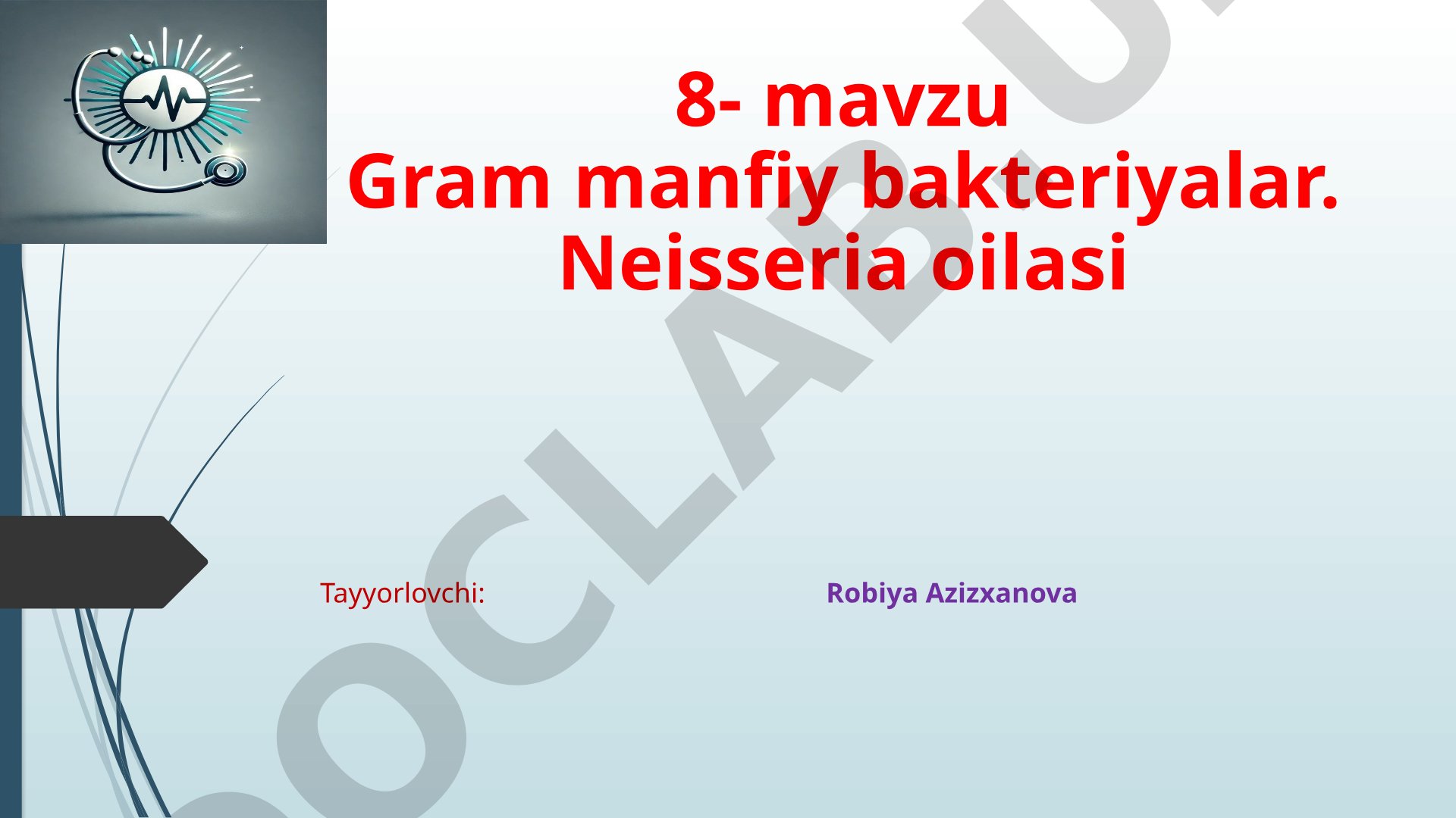 Gram manfiy bakteriyalar. Neisseria oilasi