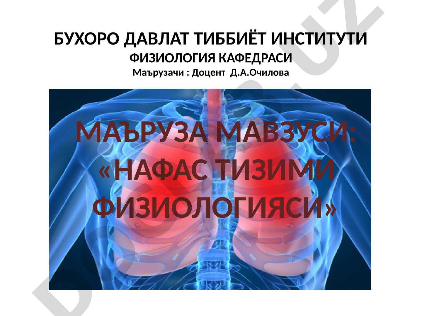 Нафас тизими физиологияси